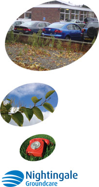 Complete Weed Control